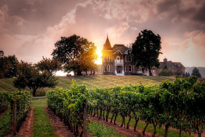 Ultimate Wine Country and Niagara Falls Private Tour With Lunch - Premium Ontario Vineyards