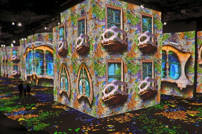 Van Gogh & Carrieres De Lumieres Half-Day Tour From Avignon - Visiting Van Goghs Locations