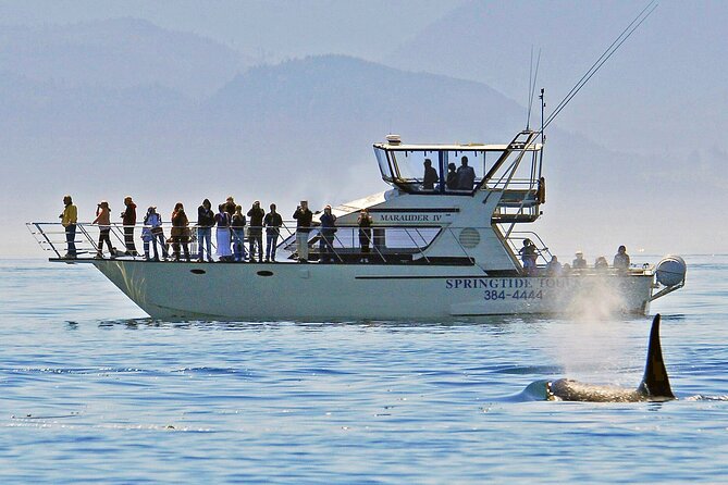 Victoria Whale Watch Tour - Meeting Point and Check-in