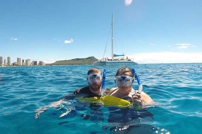 Waikiki Turtle Snorkel Tour - Small Group (6 Passengers or Less) - Highlights of the Experience