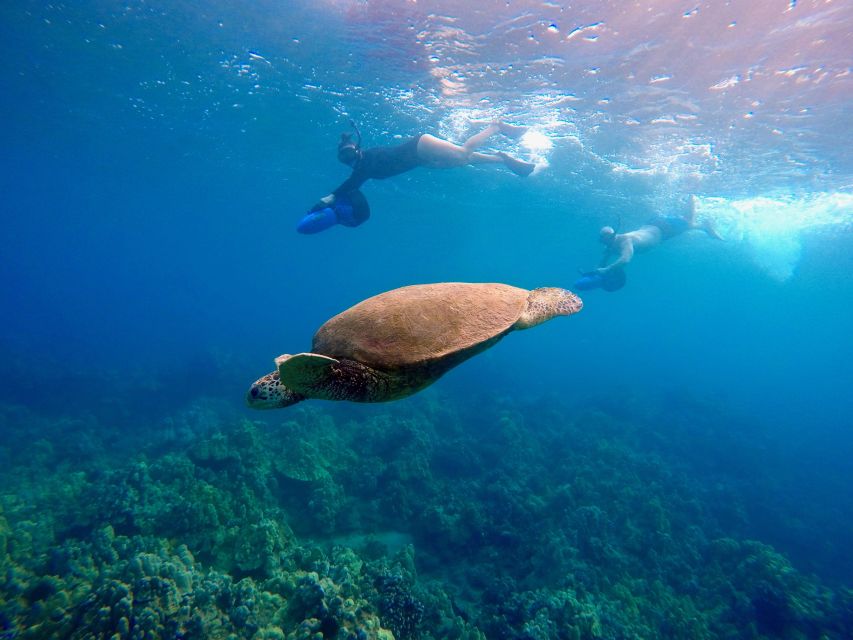 Wailea Beach: Guided Sea Scooter Snorkeling Tour - Whats Included