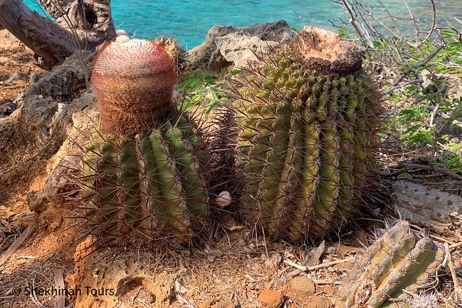 Washington Park Tour With Local Guide on Bonaire - Included Amenities and Refreshments