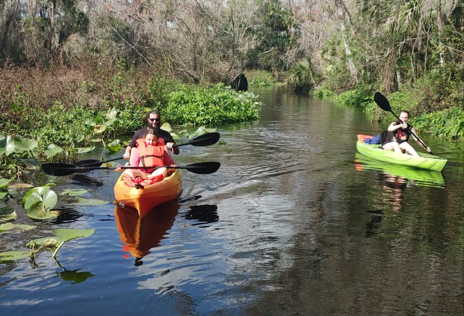 Wekiva Wildlife Kayaking Adventure Tour - Experience and Itinerary