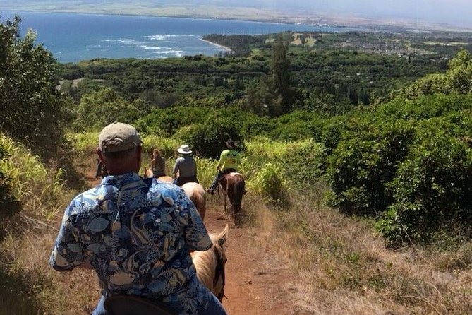 West Maui Mountain Waterfall and Ocean Tour via Horseback - Experience Details