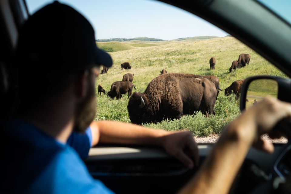 West Yellowstone: Yellowstone National Park Highlights Tour - Itinerary Highlights