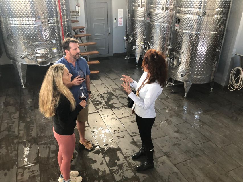 Wine Tour & Tasting in an Organic Winery in Arcadia, Greece - Winery and Vineyard