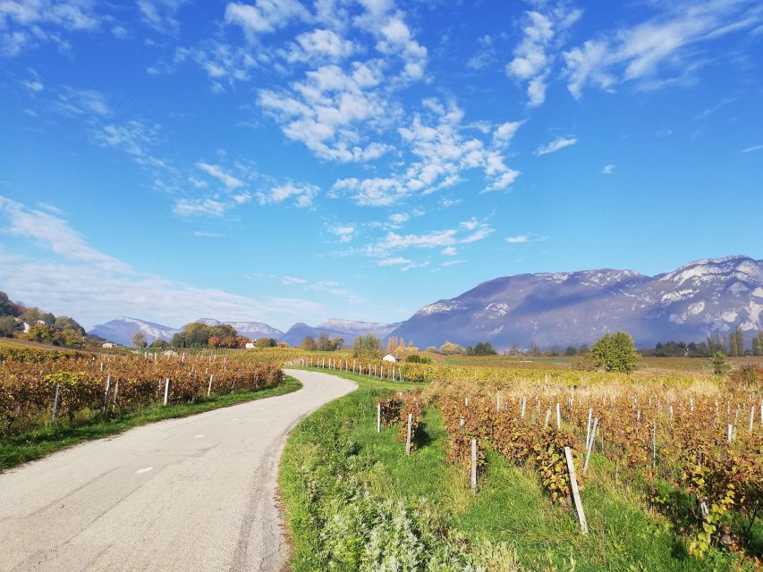 Wine Tour With Private Driver - Savoie Wine Growing Landscapes