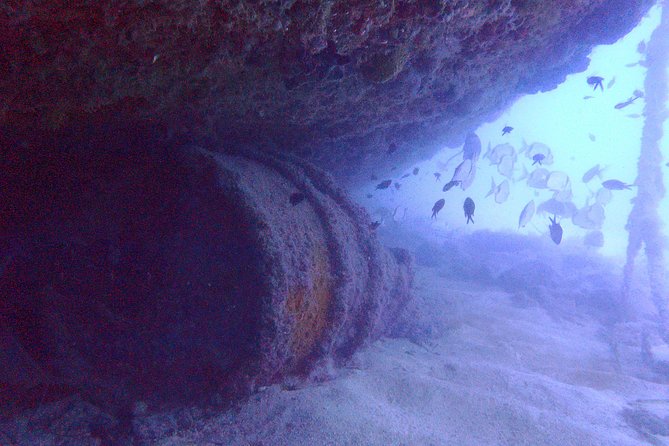 Wreck Exploration Ricardo-18m (Certified Diver) - Meeting and Pickup Details