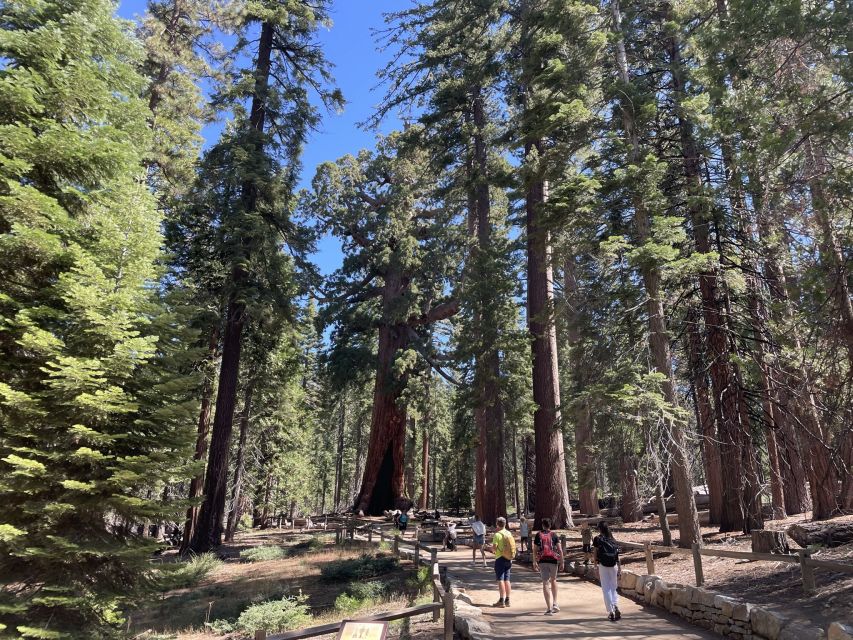 Yosemite, Giant Sequoias, Private Tour From San Francisco - Private Tour Details