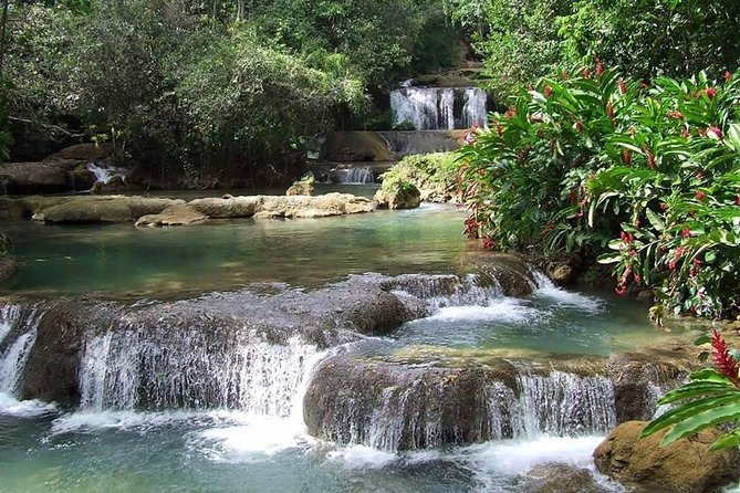 YS Falls and the Pelican Bar Adventure Tour From Negril - Inclusions