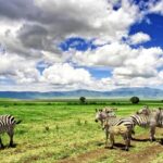 3 Days Serengati And Ngorongoro Crate Group Tour Key Points