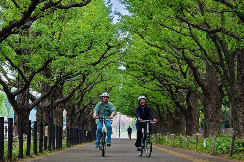 3-hour Private E-bike Tour in Tokyo Starts at Your Hotel - Key Points