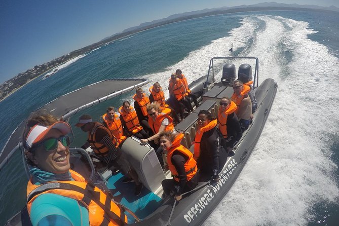 1.5-Hour Seal Viewing Boat Tour in Plettenberg Bay - Booking Details