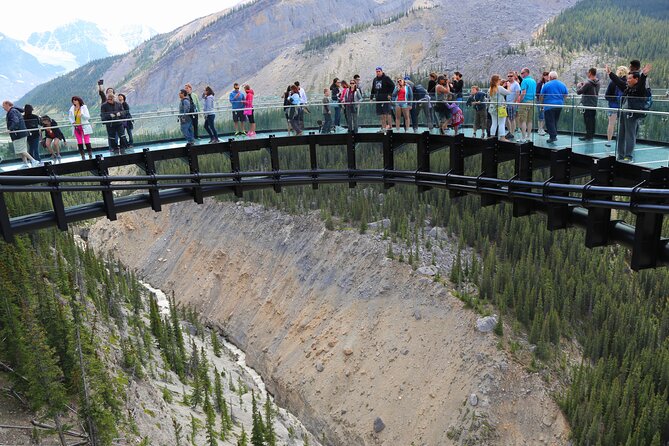 1 Day Columbia Icefield | Ice Explorer | Peyto Lake |From Calgary - Meeting and Pickup