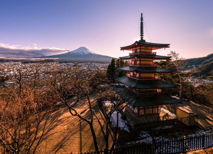 1-Day Trip: Mt Fuji + Kawaguchi Lake Area - Inclusions and Additional Options