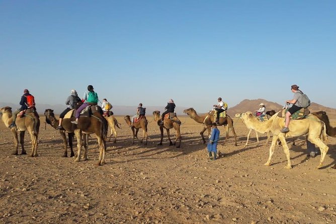 2 Days 1 Night To Zagora Desert From Marrakech - Reviews