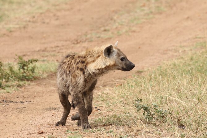 2 Days to Tarangire and Ngorongoro Crater - Included