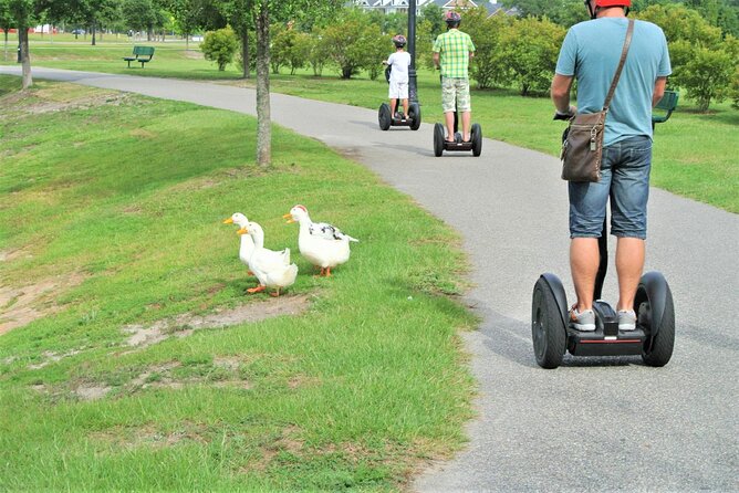 2-Hour Guided Segway Tour of Huntington Beach State Park in Myrtle Beach - Wildlife and Educational Experience