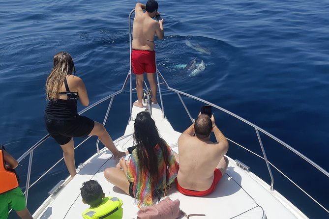 2 Hours Dolphin Watching in Marbella - Snorkeling and Swimming