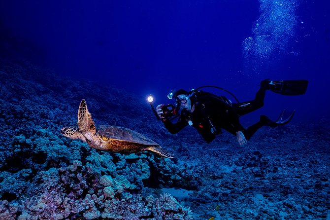 2 Tank Lanai Cathedral Scuba Dive (Boat) for Certified Divers - Participant Requirements