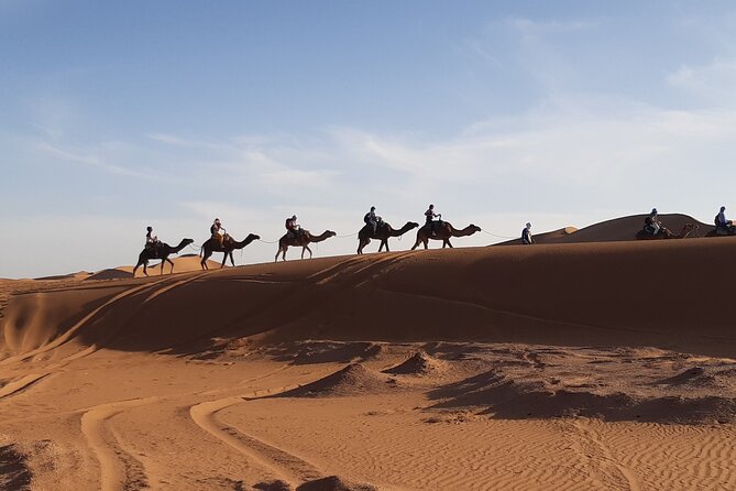 3-Day Private Discovery of the Desert From Ouarzazate to M'hamid in 4x4 - Camel Riding Experience