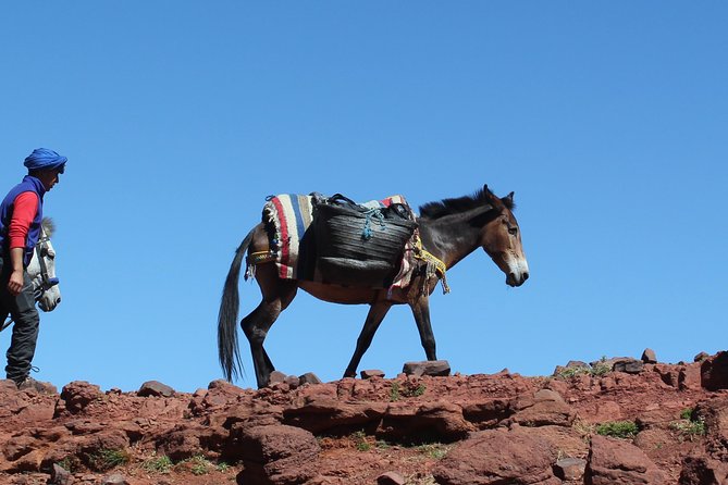 3 Days Berber Villages Hike (Atlas Mountains) - Booking Information