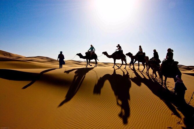 3 Days Desert Adventure Tour From Marrakech To Merzouga - Panoramic Views and Highlights