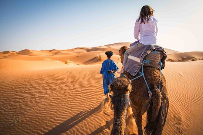 3 Days Shared Marrakech Desert Tour To Merzouga & Camel Trek - Accessibility