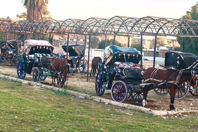 3-Hour Private Luxor Horse Carriage Experience Around Luxor City - Private and Personalized Tour Highlights