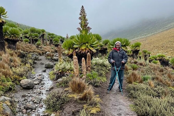 4-Day Mount Kenya Trekking With Pick up - Itinerary