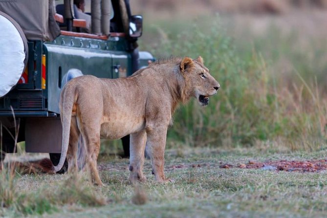 4 Days 3 Nights Tarangire Serengeti & Ngorongoro Lodge Safari - Picnic Among Elephants and Baobabs