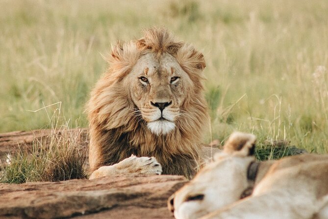 4 Days Experience Big Five in Tarangire, Serengeti & Ngorongoro Safari - Discovering the Serengeti Ecosystem