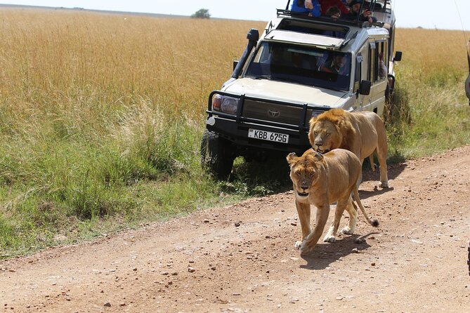 4 Days Masai Mara Lake Nakuru Jeep Safari - Safari Experiences