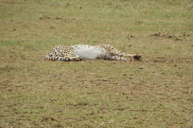 4 Days Tarangire, Serengeti & Ngorongoro - Accommodation and Meals