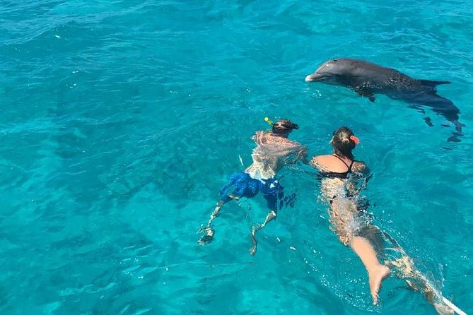 4 Hour Private Catamaran Sail and Snorkel From Grace Bay Beach, Providenciales - Snorkeling Experience