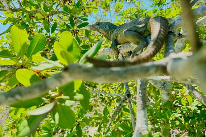 4HR Private Half-day Boat in Gracebay - Pickup Locations