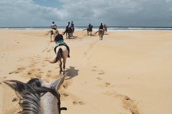 5 Day Garden Route and Addo Safari - Best of South Africa Small Group Tour - Jeffreys Bay Beach Escapades