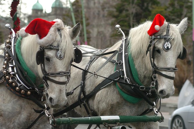 60-Minute Beacon Hill Park Tour - Carriage Ride Details