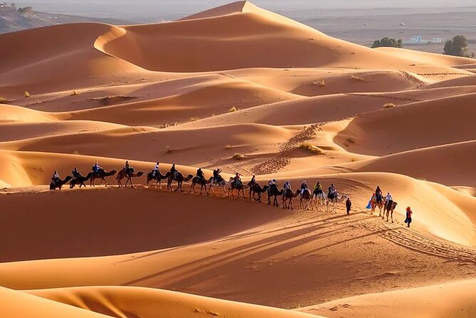 9 Days Tour From Casablanca to the Desert via Chefchauen , Fez - Exploring Historic Fez