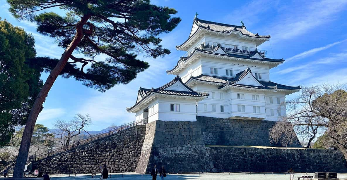 A History of Castles and ShōGuns in Odawara - Experience Highlights