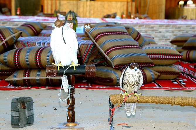 Abu Dhabi Afternoon Desert Safari and BBQ Dinner - Meal Details