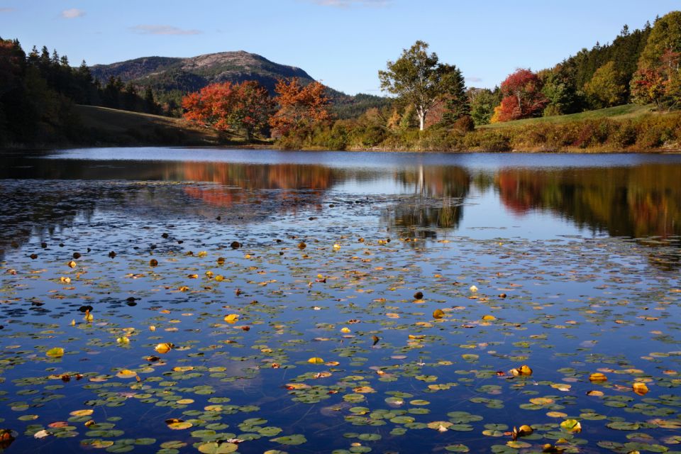 Acadia: Mount Desert Island Self-Guided Driving Tour - Reservation and Validity