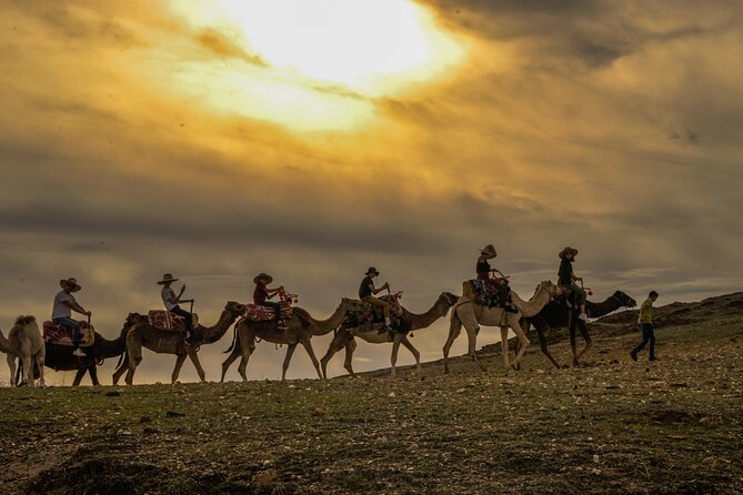 Agafay Desert - Quad, Camel, and Dinner Show - Pickup and Transportation