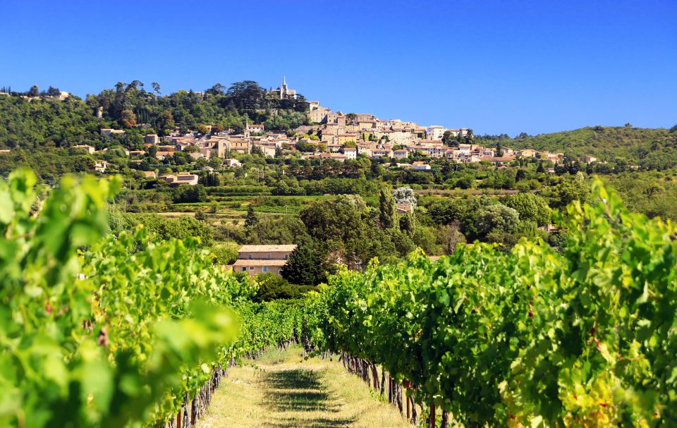 Aix-en-Provence: Half-Day Wine Tour - Inclusions