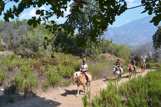 Alanya 3 Hour Horse Back Riding - Group Size Limit