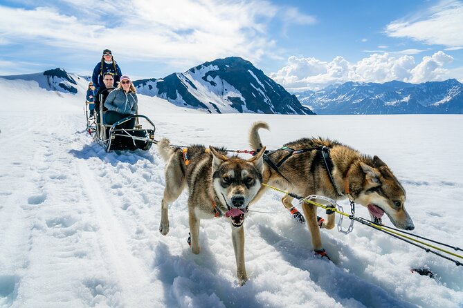 Alaska Helicopter and Glacier Dogsled Tour - ANCHORAGE AREA - Inclusions and Requirements