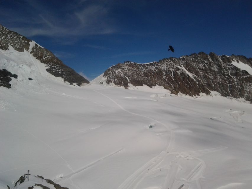 Alpine Heights: Small Group Tour to Jungfraujoch From Bern - Exploring the Ice Palace