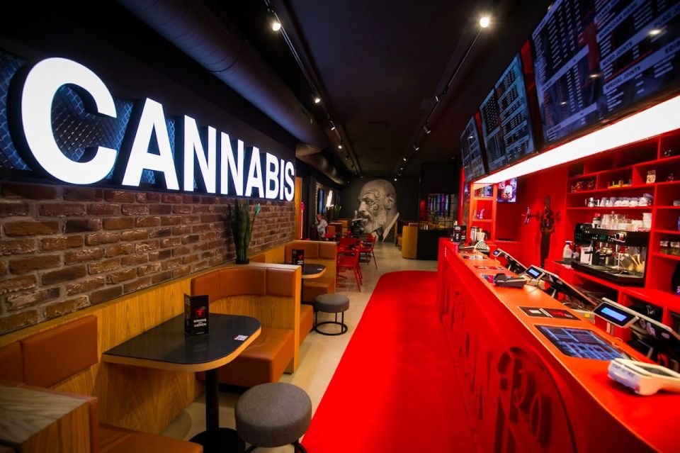 Amsterdam: Guided Ganja Walking Tour of Coffee Shops - Itinerary Highlights