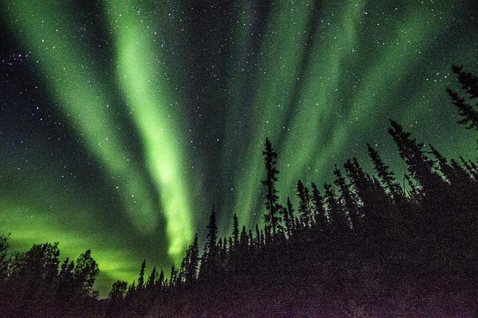 Arctic Circle and Northern Lights Tour From Fairbanks - Pickup and Accessibility