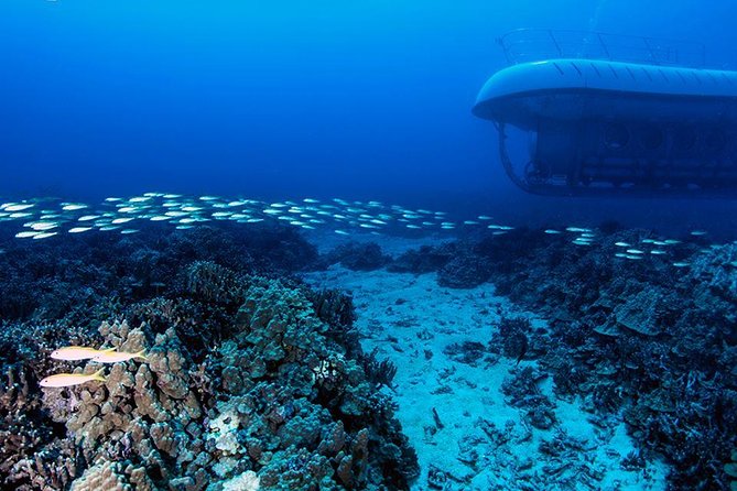 Atlantis Submarine From Kona Beach - Amenities and Accessibility